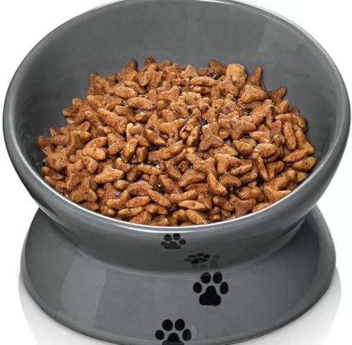N&S 猫用 脚付ウォーターボウル レギュラー 電子レンジ&食器洗浄機対応 脚付フードボウル 猫 食べやすい 吐き戻し防止 洗いやすい 陶器製 飲水量が分かるメモリ付き 餌入れ(斜面) グレー