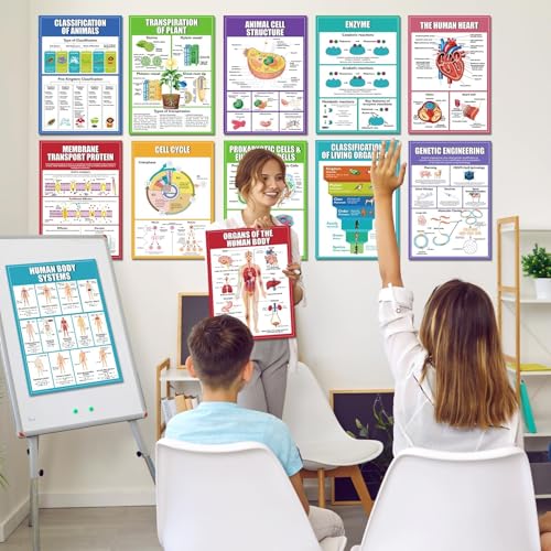 Image of EggSun 16 Pcs Biology Science Posters for High School Classroom Decorations, 11 x 16in Life Science Poster Charts for Teachers Middle School Supplies Education Classroom Bulletin Board Wall Decor