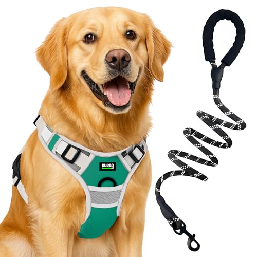 Image of Buraq Reflective Dog Harness with Leash, No-Pull Adjustable Belt Vest for Small, Medium & Large Dogs, Escape-Proof, Padded Training & Walking Harness (Green, S)