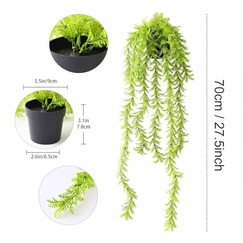 Image of TIED RIBBONS Set of 2 Artificial Hanging Ferns Plants with Pot Potted Greenery for Wall Home Decor Wall Pot Indoor Outdoor Office Garden Balcony Decoration Items (70 Cm, Long)
