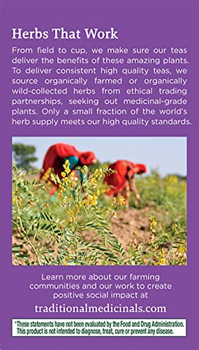 Traditional Medicinals Smooth Move Tea, Original 32 Count (Pack of 2) - Image 5