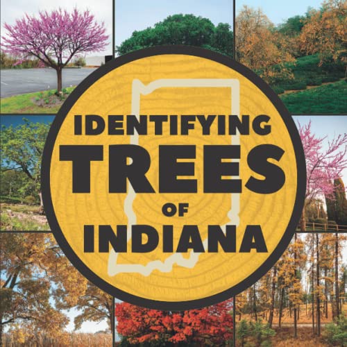 Top 10 Best Book For Identifying Trees Reviews & Buying Guide Katynel