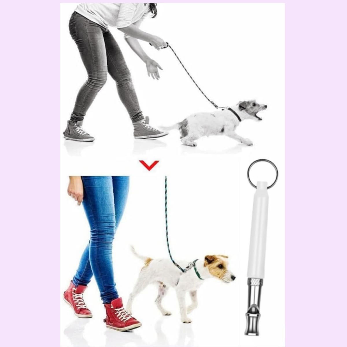 Lot de 2 Sifflets Ultrasons pour Chien,Sifflet Anti Aboiement et Dressage Haute Fréquence Réglable,Appareil de Contrôle avec Cordon pour Rappel Chien,Convient à la Plupart des Races.