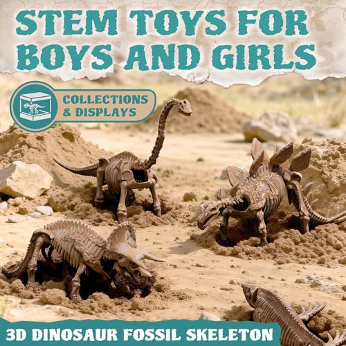 Beetots 7-Pack Big Dinosaur Fossil Skeleton Building Kit | Take Apart & Rebuild Dinosaur Bones Models | STEM Science Archaeology Toy Gift for Kids 6+ | T-Rex, Triceratops, Velociraptor - Image 3