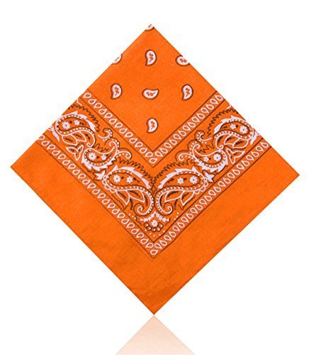Novelties DirectLarge Assorted Paisley Bandana (1) (Orange)
