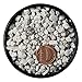 Bonsai, Cactus & Succulent Pumice - Professional Sifted and Ready to Use American … (2.5 Dry Quart)