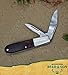 BEAR & SON 2281R Two-Blade Barlow Pocket Knife – Traditional Manual Folding EDC, High-Carbon Stainless Hollow-Ground Edge Master & Pen Blades, Nickel Silver Bolsters, USA Made – Rosewood Handle
