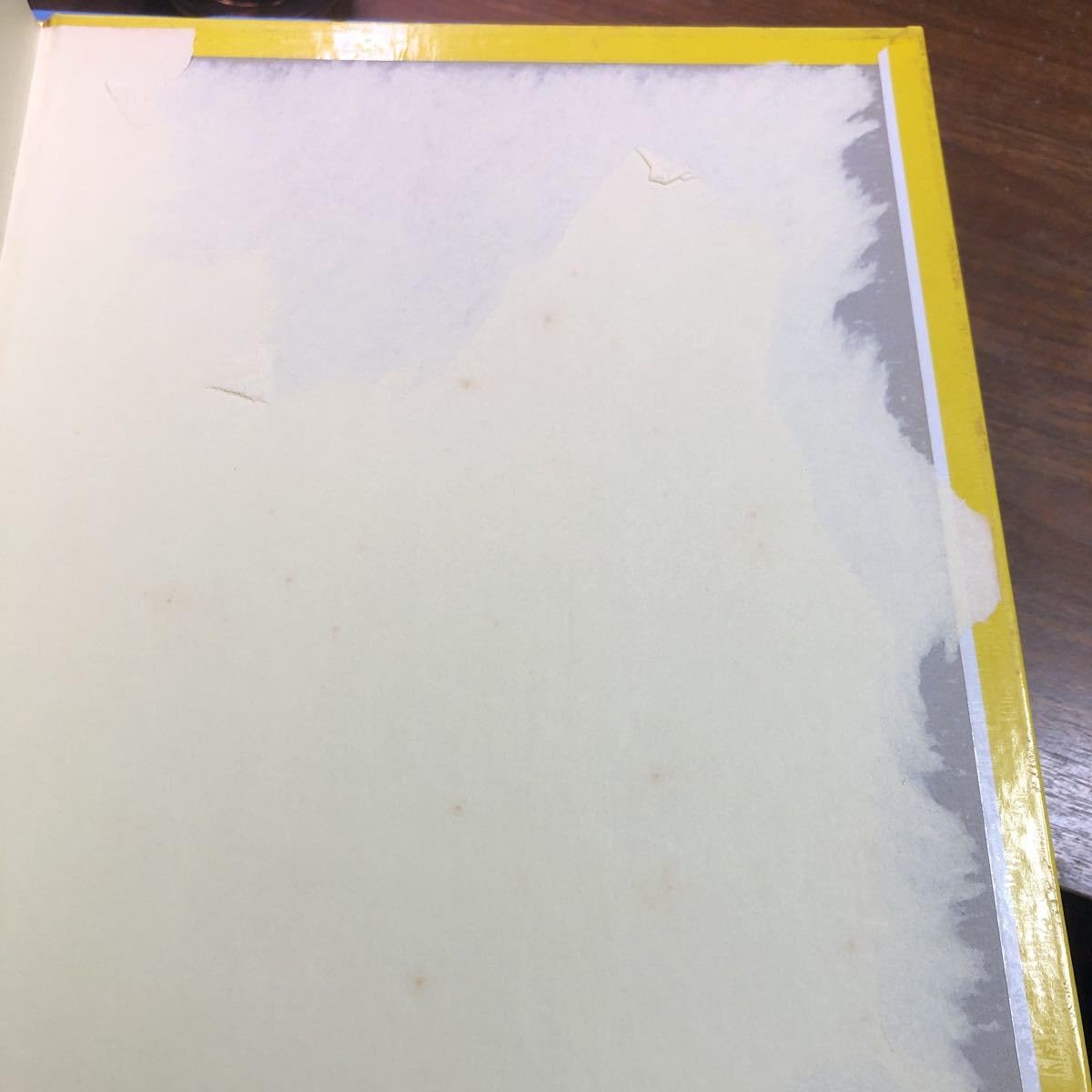 Amazon.co.jp: 羽仁進の愛情いっぱい動物記 12冊 まとめて