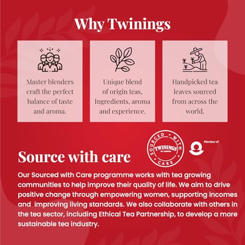 Image of Twinings English Breakfast Tea, 25 Tea Bags | Pack of 1 | English Classic Range | Premium Black Tea | Medium Strength | Rich & Smooth Flavour | Enjoy a Hot Cup of Tea