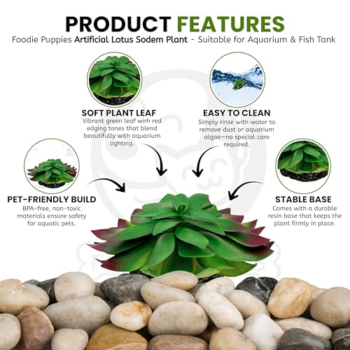Image of Foodie Puppies Aquarium Plastic Plants with Resin Base Decor - (Lotus Sodem, Small, 6 x 12 x 4 cm) for Fish Tank Ornament Accessories, Household & Office Natural Looking Artificial Plant