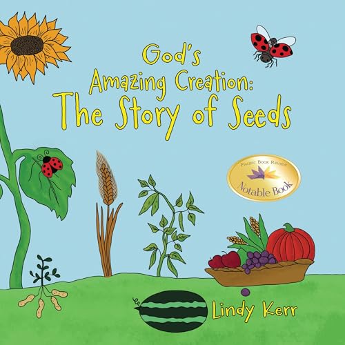 God's Amazing Creation cover art