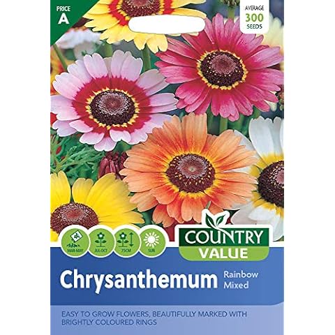 Chrysanthemum Seeds Rainbow Mixed by Country Value Cover