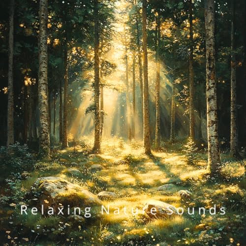Amazon Music Relaxing Nature SoundsのNight in the Woods Nature for