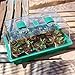 Propagator with Humidity Vents Domes,Heavy Duty Growing Tray Mini Greenhouse for Seedlings,Clones