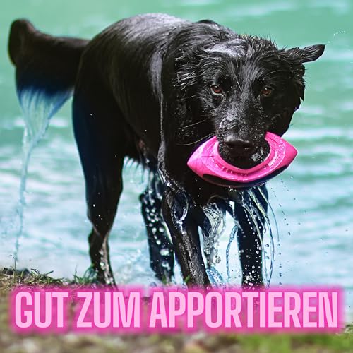 ne&no Hunde Football [Space Edition by hoher Sprungkraft I Wurfspielzeug I Jagdball I robust I Wurfball modern I für Land und Wasser I 17 cm lang