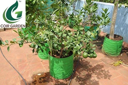 COIR GARDEN Terrace Gardening HDPE Grow Bags (Bigger Sizes, 24x24 inches) - Pack of 2 1