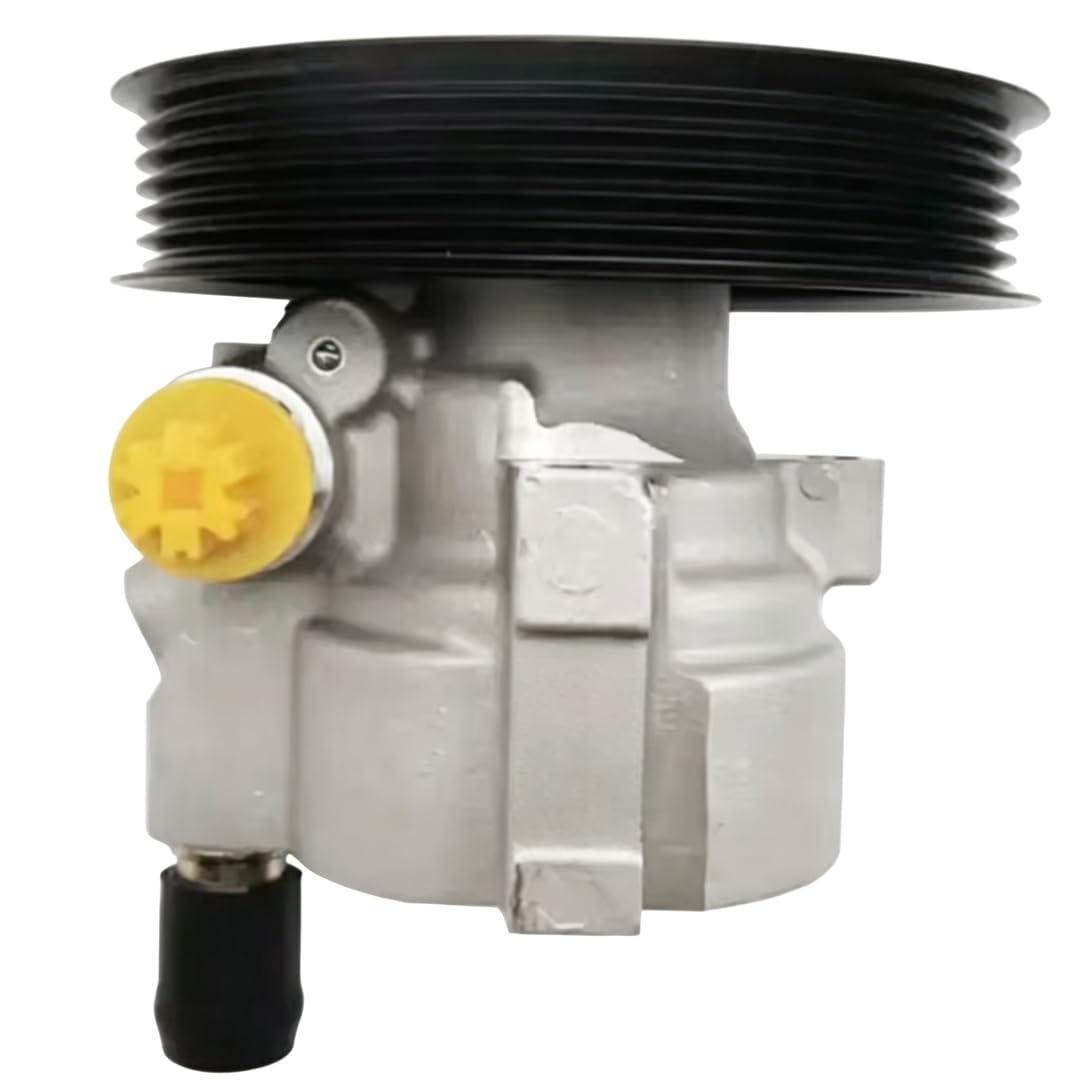Rufutle Power Steering Pump for Renault Clio 1998-2009 Megane 1999-2003 Thalia Kangoo, Power Steering Pump 26077782/7700419117/7700431283/8200711390/8200888500