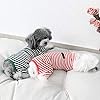Hdwk&Hped Soft Cotton Dog Pajamas for All Seasons, Striped Pet Bottoming Jumpsuit for Small Dog Cat Puppy (#3, Striped Style - 2-Pack(red&Dark Green)) #3