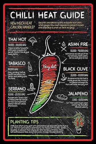 Blechschild 18x12 cm Chilli heat guide asian fire thai Wand Deko Bar Kneipe Sammler Geschenk Blechschild 18x12 cm Chilli heat guide asian fire thai Wand Deko Bar Kneipe Sammler Geschenk