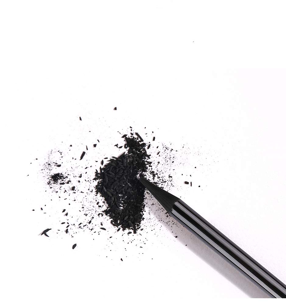 cały ołówek węglowy, 12 sztywnych ołówków do szkicowania, bez drewna węglowego, specjalny do sztuki Fine Art