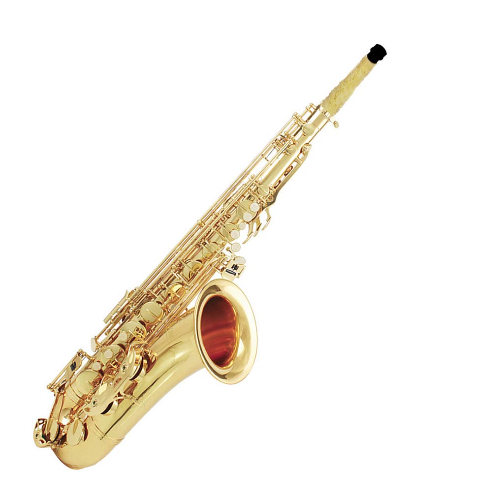 10 zestaw profesjonalna szczotka do czyszczenia saksofonu podkładka do czyszczenia podkładka oszczędzająca saksofon tenorowy instrumenty dęte drewniane części akcesoria