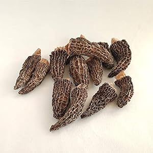 HoitoDeals Gedroogde hele Morel Champignons (100g)