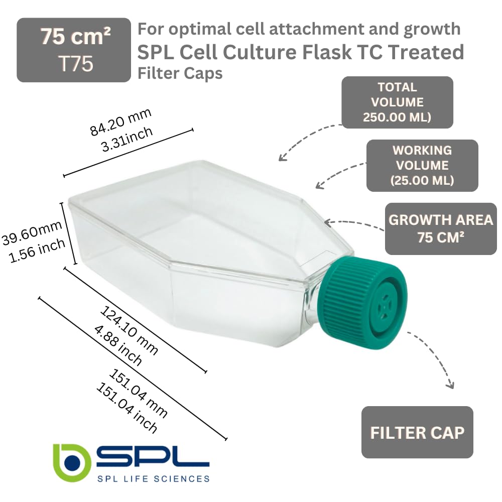 SPL Cell Culture Flask 75 cm2 (T75) Filter Cap, Treated, Sterile, 100/Case