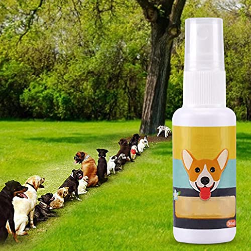 Ardorman Hundetöpfchen-Trainingsspray, Haustier Toilette Trainingshilfespray, Hundetoiletten Trainingsspray Induktor, Welpentraining-Spray Hundekatze