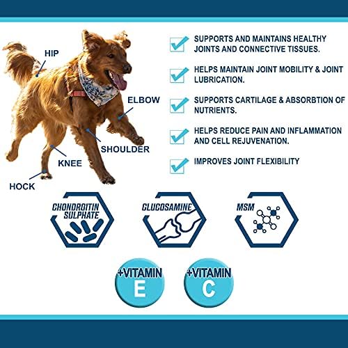 How Much Vitamin C Should I Give My Dog