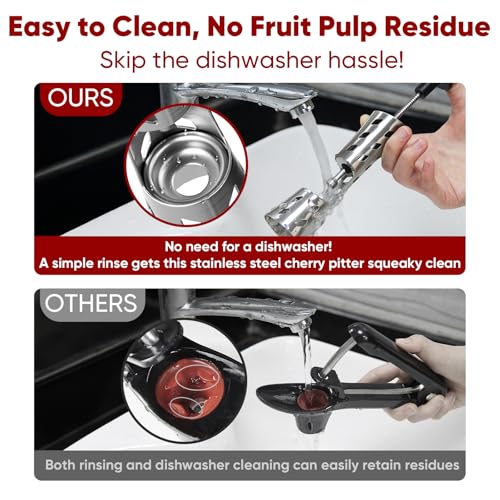 Newness 304 Stainless Steel Pitter