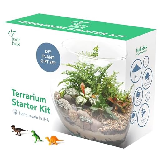 Root Box™ Large Terrarium Kit in Scented giftbox | Supplies for Glass Container terrariums | Suitable for Various Plants for Your own Slice of Science Creativity | Suitable for Adults and Kids