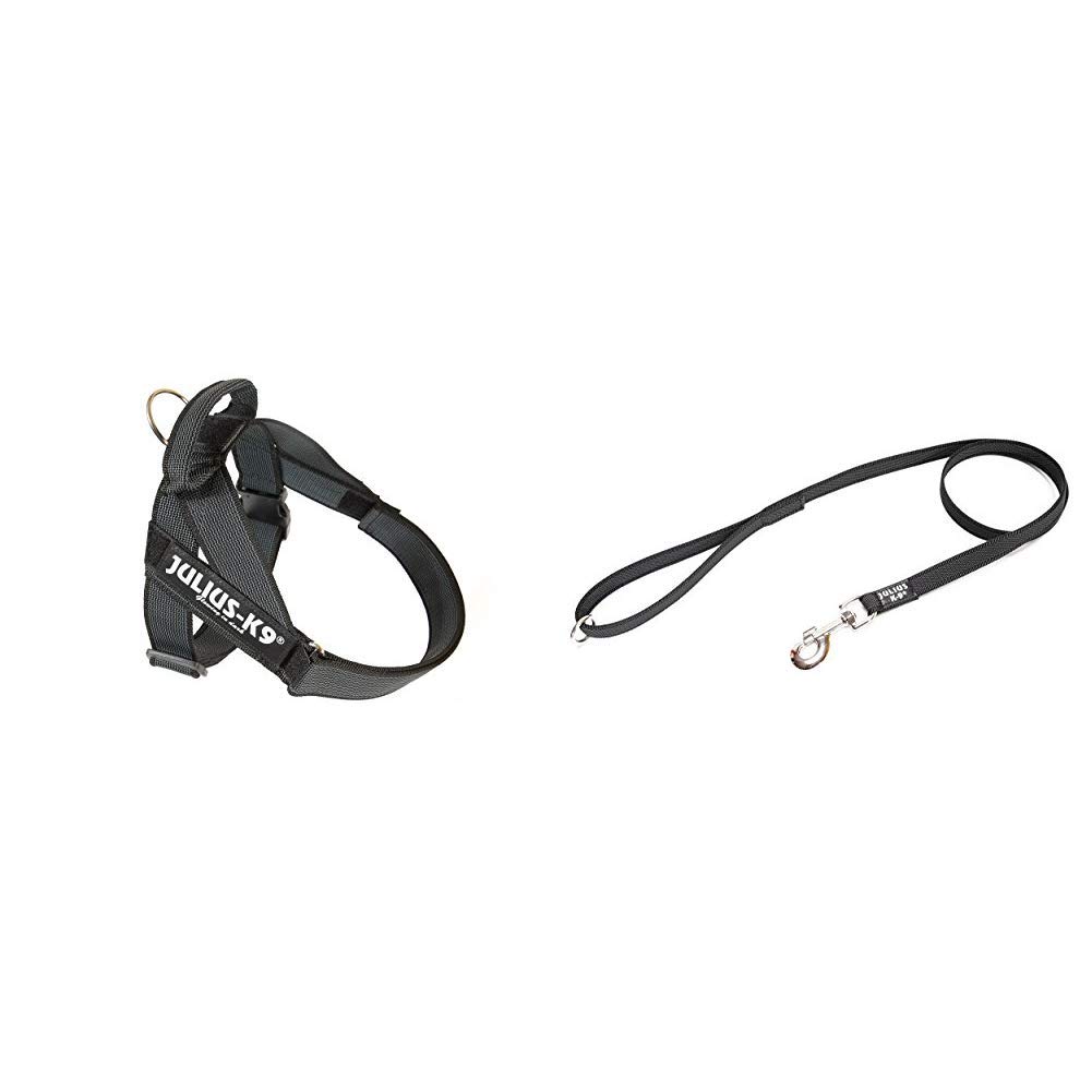Arnés para cinturón de seguridad JULIUS-K9 y Correa para Perro, con Mango y Junta Tórica - color negro - talla: 0