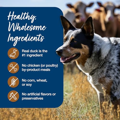 Blue Buffalo Blue's Stew Duck Adult Grain-Free Wet Dog Food, 12.5 oz, 12 ct - image 7