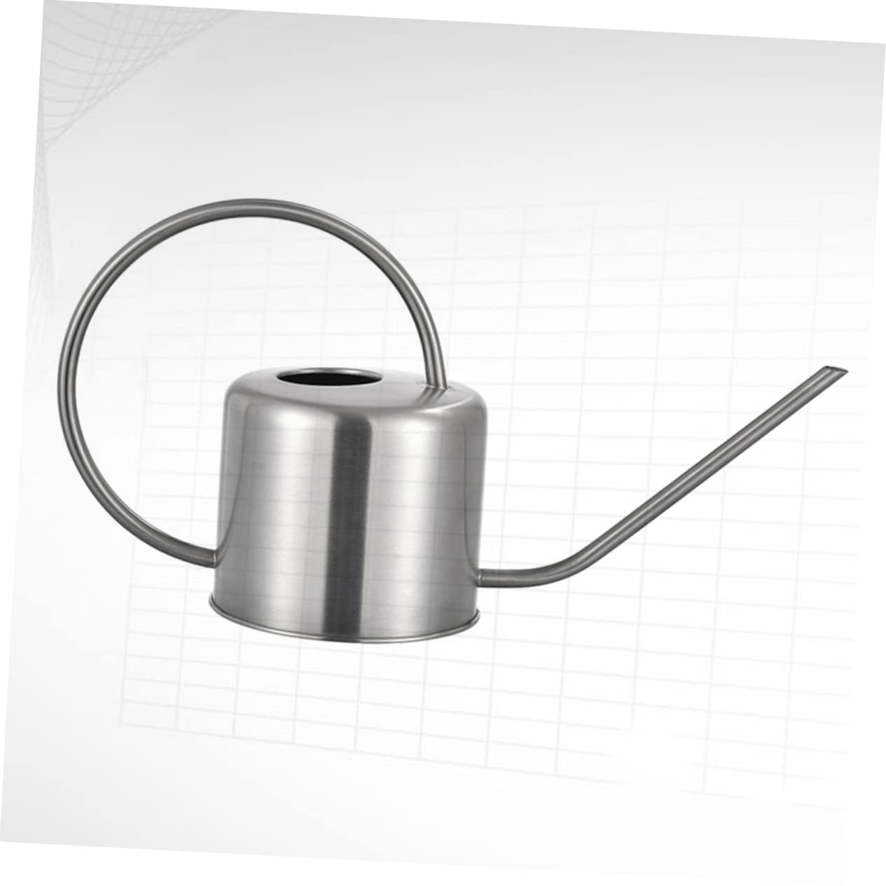 Regadera de Acero Inoxidable 1, 3 L para Suculentas y Flores de Interior