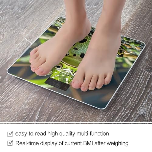 Báscula Digital de Baño Crown Frog con Pantalla LCD Clara miniatura 5