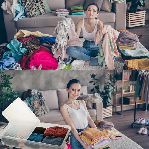 LIVINJA Unterbettbox mit Rollen, 2er Set Unterbett Aufbewahrungsbox, 78 x 38 x 16 cm (32 Liter) - Geteilter Deckel, Clip-Verschlüsse, Transparent, Hergestellt in der EU