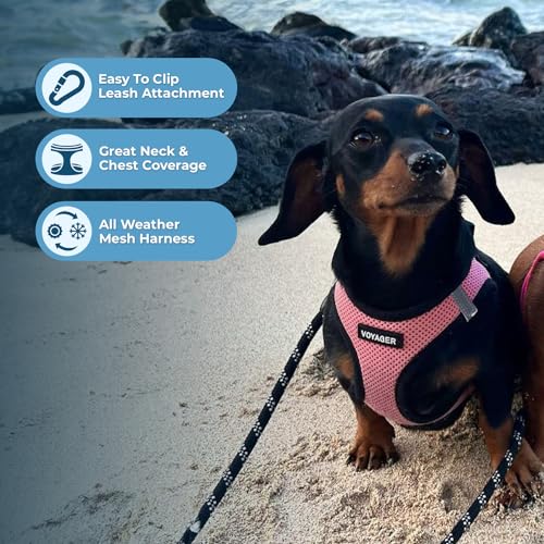Image of Voyager Step-in Air All Weather Mesh Harness and Reflective Dog 5 ft Leash Combo with Neoprene Handle, for Small, Medium and Large Breed Puppies by Best Pet Supplies - Pink Base, L