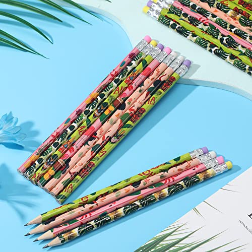 Lápices de grafito Fainne x72 piezas con borrador miniatura 5