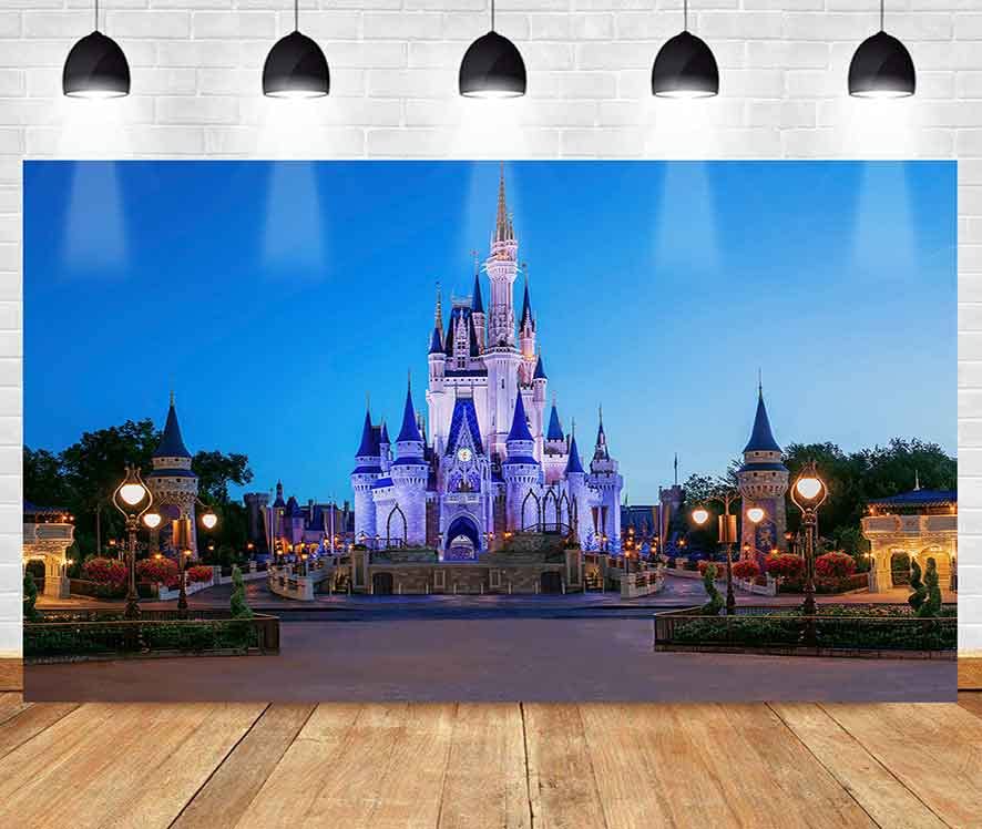 MEETSIOYBlue Castle Party Backdrop Street Lamp Woods Photo Background Fairy Tale World Studio Props Banner Birthday Party Supplies Photography Backdrop 5x3ft BJZSMT126