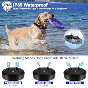 Gps Wireless Dog Fence and Outdoor Pet Barrier 2 in 1 Range 973280ft Electric Dog Fence for All Dogs Keeps Pets out of Obstacles Adjustable Warning Strength black  Cucciolini Doodles Gps wireless dog fence and outdoor pet barrier 2 in 1 range 97 3280ft electric dog fence for all dogs keeps pets out of obstacles adjustable warning strength black   cucciolini doodles
