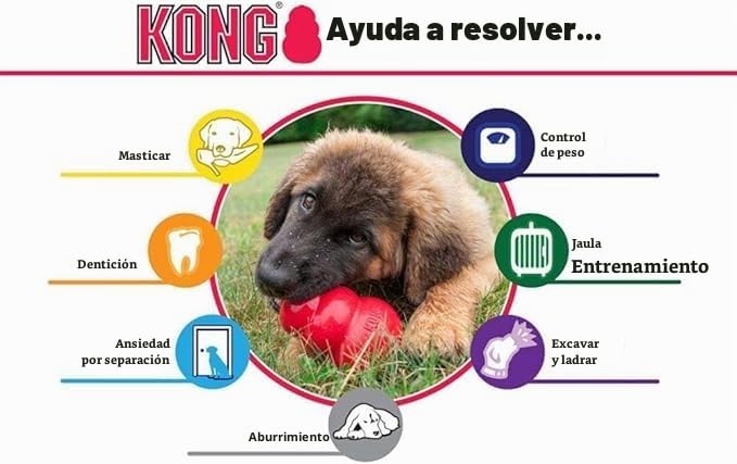 KONG Extreme - Paquete de 2 para perros grandes