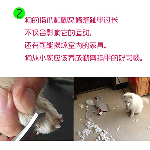 Pet Nail Clippers,-Worry-Free Beauty Nail Clippers, Avoid Pain And Excessive Cutting Pressure, Harmless Nail Clippers-2… - Image 6