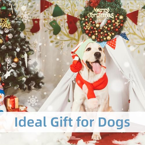 2er Pack Läufigkeitshose für Hündinnen, Wiederverwendbare Höschen für Hunde Läufigkeit mit 6 Damenbinden, Waschbare Verstellbare Hundehöschen Läufigkeit (Taillenumfang von 50-59 cm)