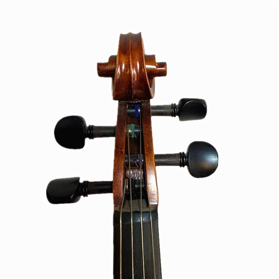 ヴァイオリン イタリア製 工房勧め品 バイオリン Amazon.co.jp: バイオリン楽器 15