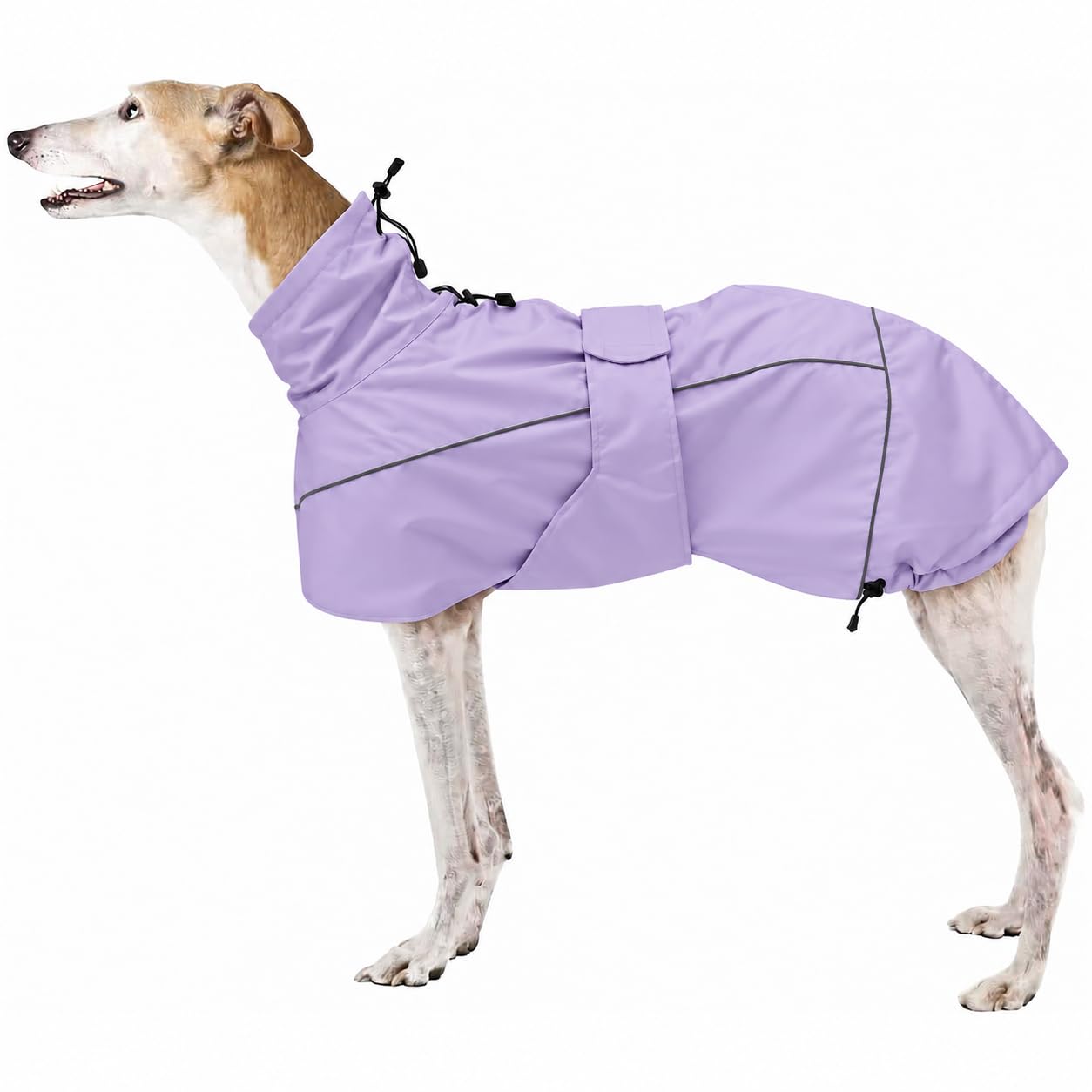 Morezi Greyhound Lurcher Raincoat, Whippet Rain Gear with Reflective Bar