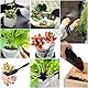 Bonsai Werkzeug, Bonsai Starter Kit, Bonsai Set Starter Kit Werkzeug, Garden Tool, Mini Garden Tools Set, Bonsai Werkzeug for Indoor Plants and Professional Bonsai Breeding