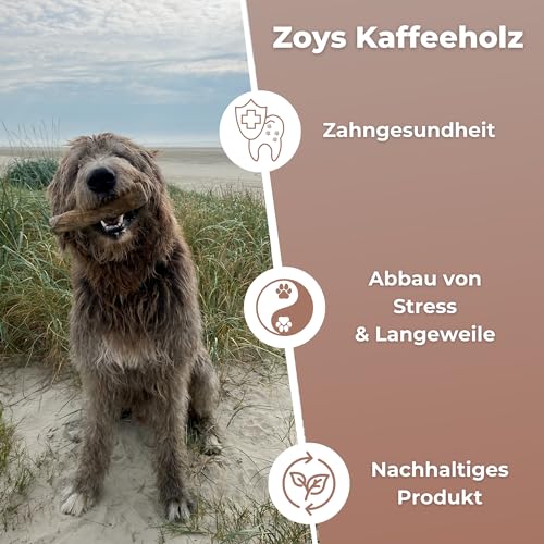 Zoys Kaffeeholz für Hunde - 3er VORTEILSPACKUNG -XXL ab 30kg Gewicht - Natürlicher Kauknochen für Zahnreinigung & Zahngesundheit & nachhaltige Beschäftigung - Hundezubehör langlebig & risikoarm