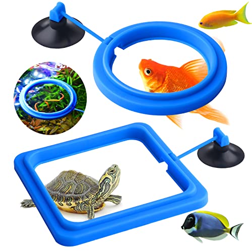 Cobee Anillo de alimentación de peces, 2 piezas de comedero de peces de acuario, accesorios de tanque circular para Guppy, Bettas, peces dorados, tortuga (azul)