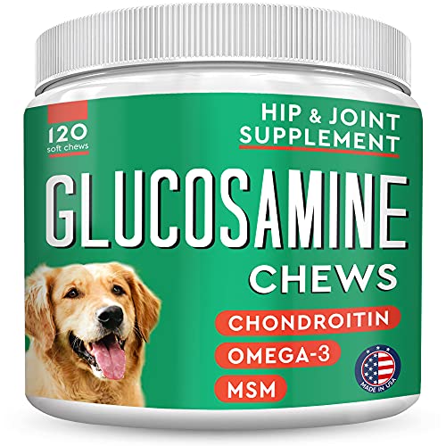 Top 10 Best Glucosamine Products for Pets A MustRead Buying Guide
