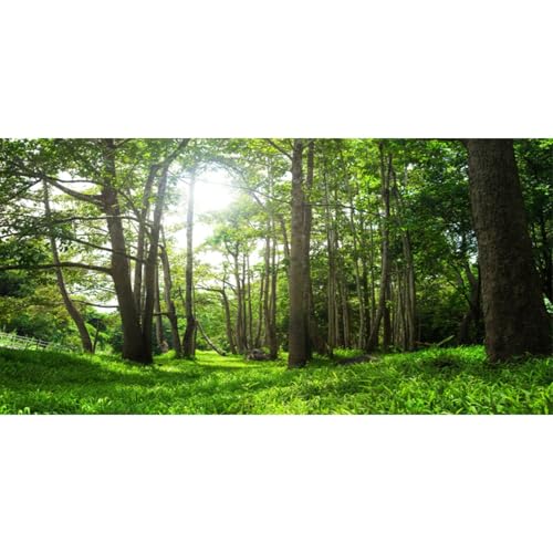 fertilizantes sulfato amonio Marca AWERT